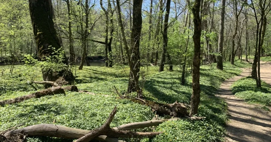 15 Best Things to Do in Xenia, Ohio